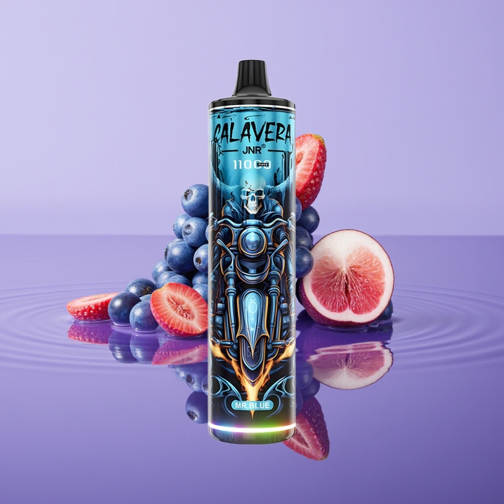 JNR Calavera 11000 نَفخة سيجارة إلكترونية Mr Blue بشاحن Type-C وبطارية 850 مللي أمبير