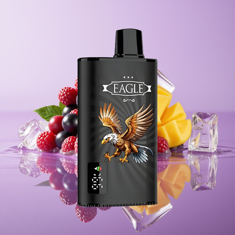 JNR EAGLE Smart 23000 نفخة جهاز تبخير قابل للتصريف بنكهة الكشمش الأسود والمانجو المثلجة - شاشة رقمية
