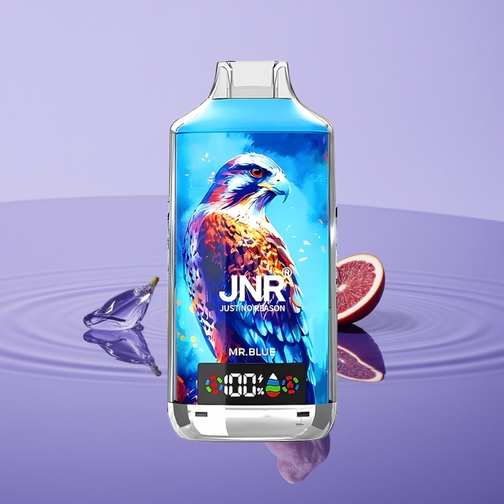 JNR Falcon X 18000 Puffs سيد بلو - 750mAh، 24مل، شاشة رقمية، شحن نوع-C