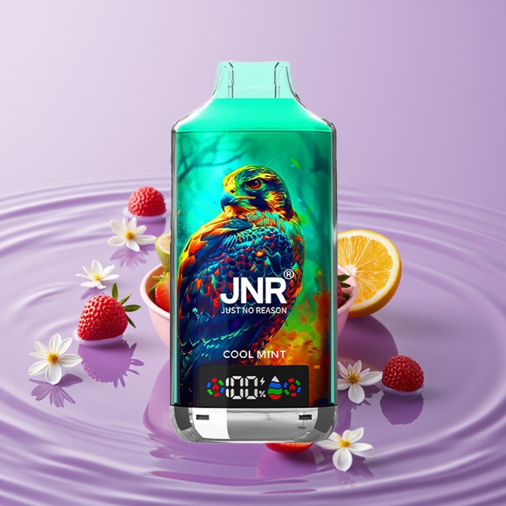 JNR Falcon X 18000 Puffs نعناع منعش - 750mAh، 24ml، شاشة رقمية، شحن Type-C
