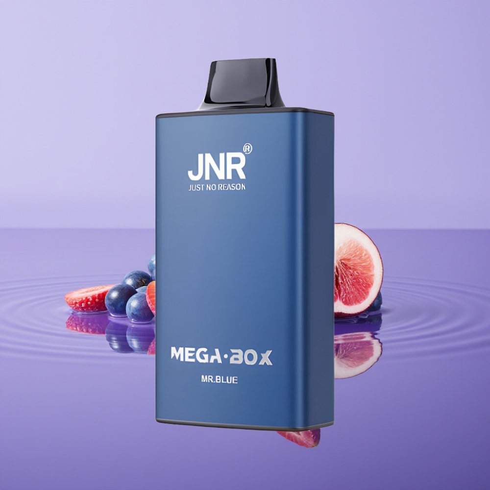 JNR Mega Box 25000 نَفخة سيجارة إلكترونية Mr Blue، 30مل، 850ملي أمبير، شحن نوع-C