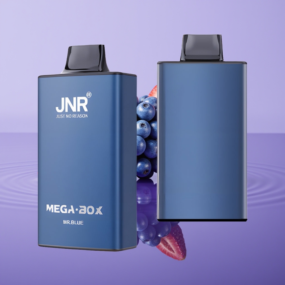 JNR Mega Box 25000 نَفخة سيجارة إلكترونية Mr Blue، 30مل، 850ملي أمبير، شحن نوع-C