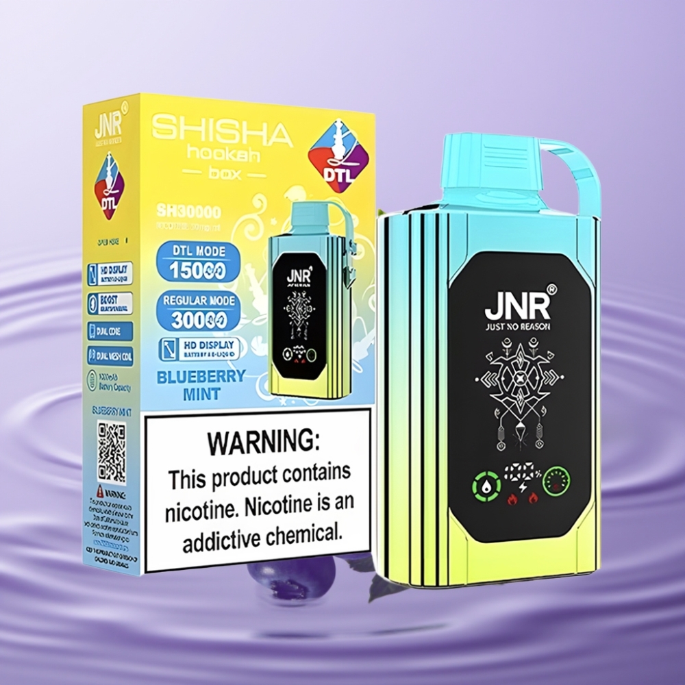 JNR Shisha Hookah Box 20500 نفخة - نعناع توت أزرق، شاشة HD، 1000 مللي أمبير، شحن Type-C